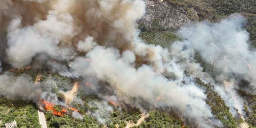 Afectadas 97 mil hectáreas por incendios forestales en Rusia
