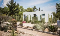 Jardín Botánico de la UASLP centro de riqueza de la flora del estado