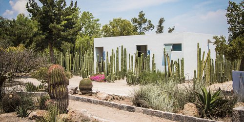 Jardín Botánico de la UASLP centro de riqueza de la flora del estado
