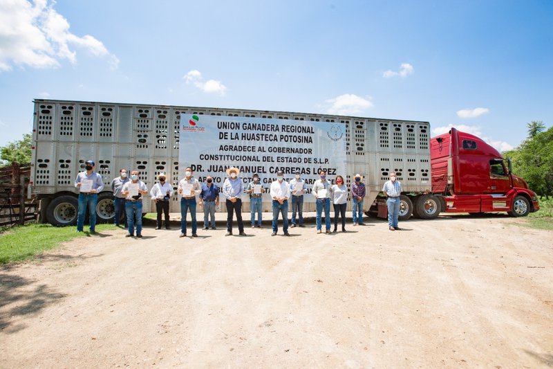 JMCL 6to Informe Prospero 150821 (2).jpeg