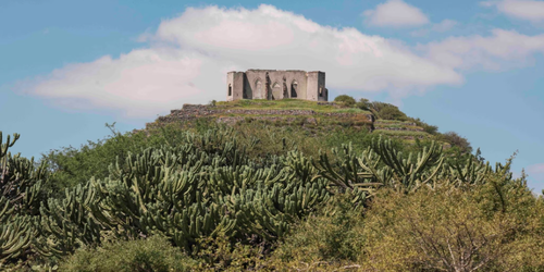 Corregidora obtiene el Sello de Biodiversidad.