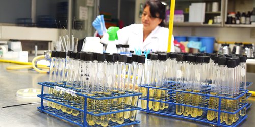 Analizan laboratorios y auxiliares que diagnostican COVID-19