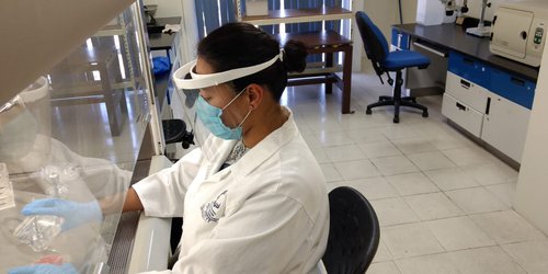 COVID-19 puede generar daño cerebral a mediano o largo plazo: IPICYT