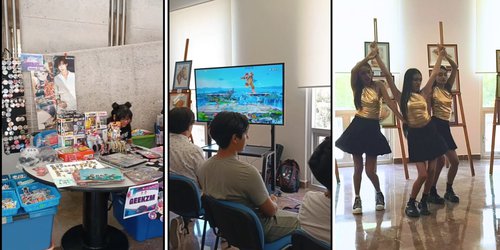 Primera edición del “Mercadito Geek 2025” en el CIAZM, FEPZM