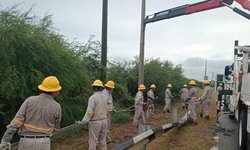 CFE restablece 84% de suministro eléctrico a afectados por lluvias