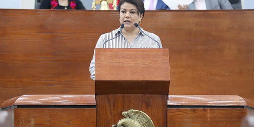 Parlamento Infantil y Juvenil fortalecen la participación ciudadana: Mireya Vancini