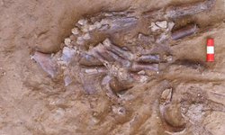 El cementerio que convirtió a los neandertales en humanos