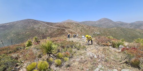 Vientos reactivan el incendio en Villa de Guadalupe