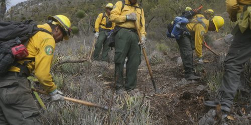 Regresarán altas temperaturas a SLP en próximos días, advierte PC Estatal
