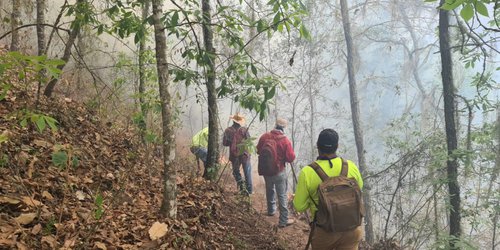 Avanza control del incendio en sierra de Rioverde