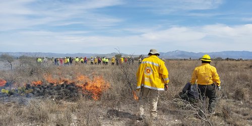 Capacitan a brigadas contra incendios forestales