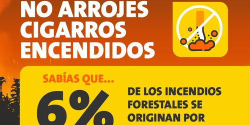 Exhorta PC a fortalecer prevención de incendios forestales