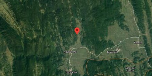 Sismológico Nacional reporta temblor en el municipio de Tamasopo