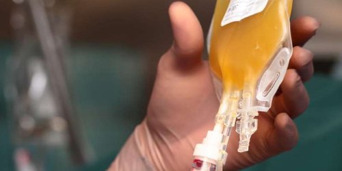 Covid-19: en qué consiste el tratamiento con plasma