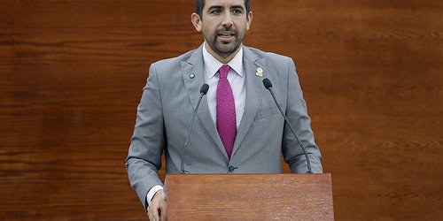 Establecen como principio de la planeación estatal y municipal, la protección de la familia