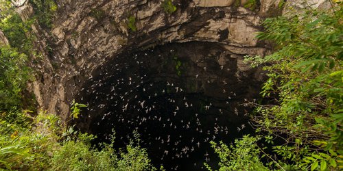 Pese a semáforo naranja, parajes turísticos seguirán cerrados