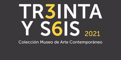 Nueva exposición en el Museo de Arte Contemporáneo