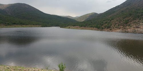 Durante 2020 se invirtieron 11.9 MDP en bordos de abrevadero: SEDARH