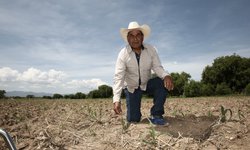 Reciben semilla de maíz y frijol productoras y productores potosinos