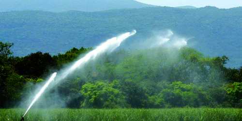 SLP cuenta con casi dos mil hectáreas de agricultura protegida: SEDARH