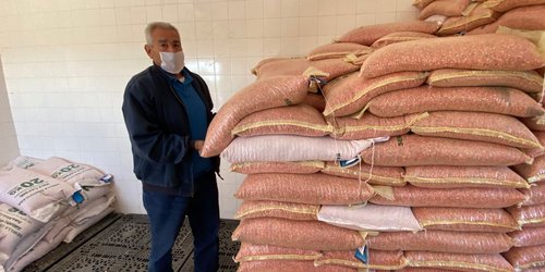 Avance del 35% en entrega de paquetes tecnológicos de semilla