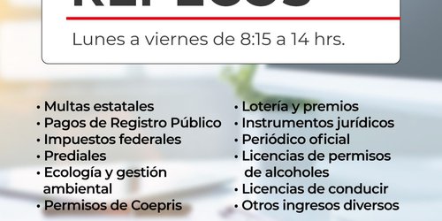 Anuncian reapertura del módulo de cobro de Repecos en Finanzas