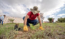 SEGAM y CONAFOR inician programa de reforestación 2020