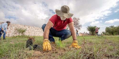 SEGAM y CONAFOR inician programa de reforestación 2020