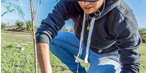 En cinco años se han reforestado 17.6 mil hectáreas en SLP