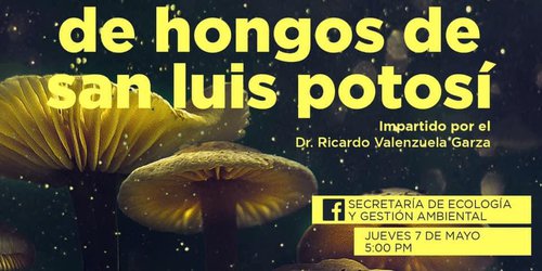 SEGAM iniciará videoconferencias sobre biodiversidad en Facebook Live