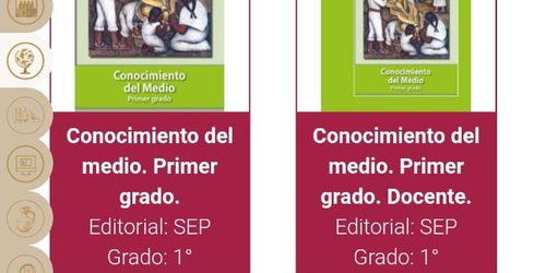 Libros de texto, fundamentales en el periodo de distanciamiento social: SEGE