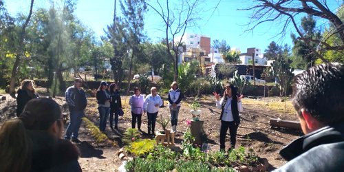 Municipio de SLP se integra a programa trinacional para proteger a la mariposa monarca