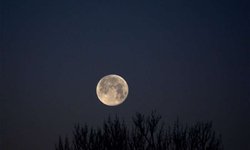 A qué hora podrá verse esta noche la Luna Rosa, la primera superluna de 2021