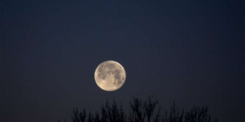 A qué hora podrá verse esta noche la Luna Rosa, la primera superluna de 2021