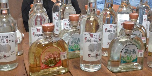 Anuncian programa de reactivación turística en la capital potosina