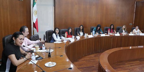Capacitaron en técnica legislativa a las participantes del Parlamento de las Mujeres