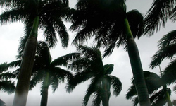 Se forma la tormenta tropical Erin en el Atlántico, que podría convertirse en el primer huracán de la temporada