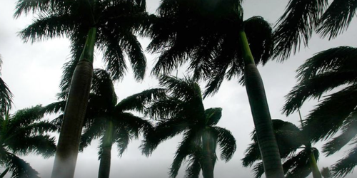 Se forma la tormenta tropical Erin en el Atlántico, que podría convertirse en el primer huracán de la temporada