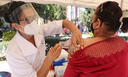Reporta Salud avance del 41.4% en aplicación de vacuna contra Influenza