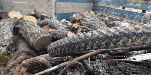 Decomisa la policía carga de mezquite en Ciudad Fernández