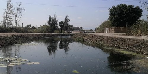 Pide proteger canales de Rioverde, y el del puente Corona, que luce hermoso