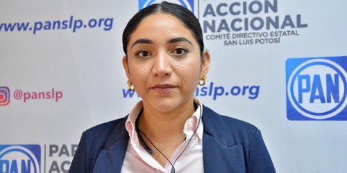 Urge PAN SLP acciones ante el aumento de la violencia de genero