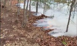 62 incendios forestales se han detectado y atendido en SLP
