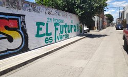 Saturan de bardas con pintas del Partido Verde en Rioverde