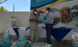 Entregan semilla de avena y sorgo para campesinos de Rioverde