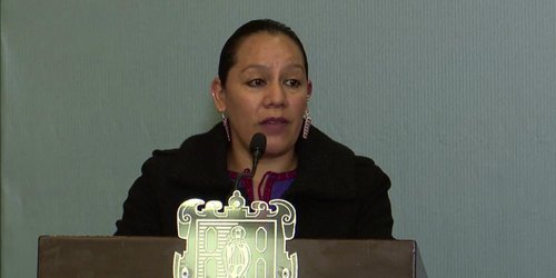 SEMARNAT ya revisa proyectos anunciados por AMLO para SLP