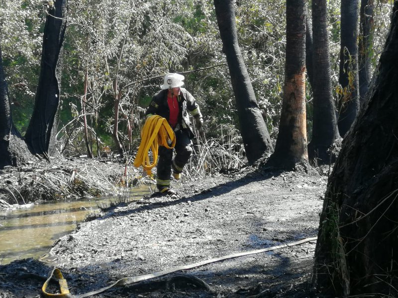 WhatsApp Image 2020-10-08 at 11.29.15 AM.jpeg