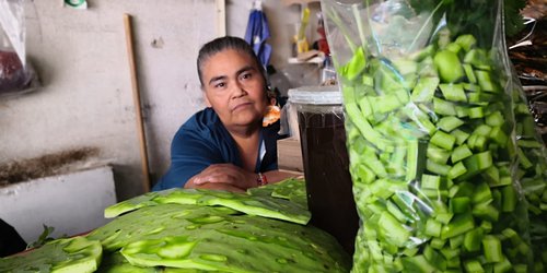 Buen negocio vender nopales en zona del mercado Colón