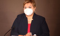 En cada nueva construcción se tendrá que sembrar cuando menos un árbol