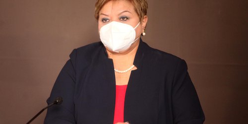 En cada nueva construcción se tendrá que sembrar cuando menos un árbol